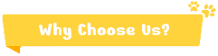 why-choose-us